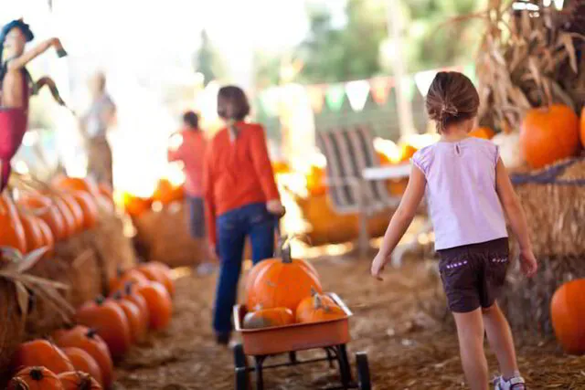 Fall Family Activities to Support Early Learning