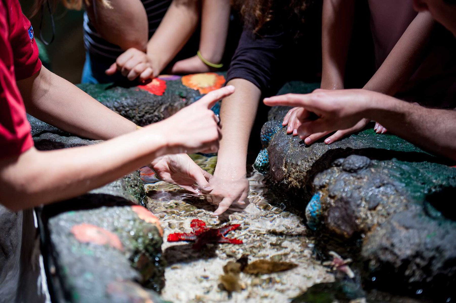 Embark on Eastgate ELA's Enriching Summer Program